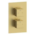 Spay Thermostatic Two Outlet Twin Shower Valve - Brushed Brass