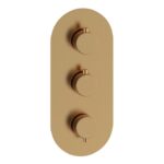 Mist Thermostatic Two Outlet Triple Shower Valve - Brushed Bronze
